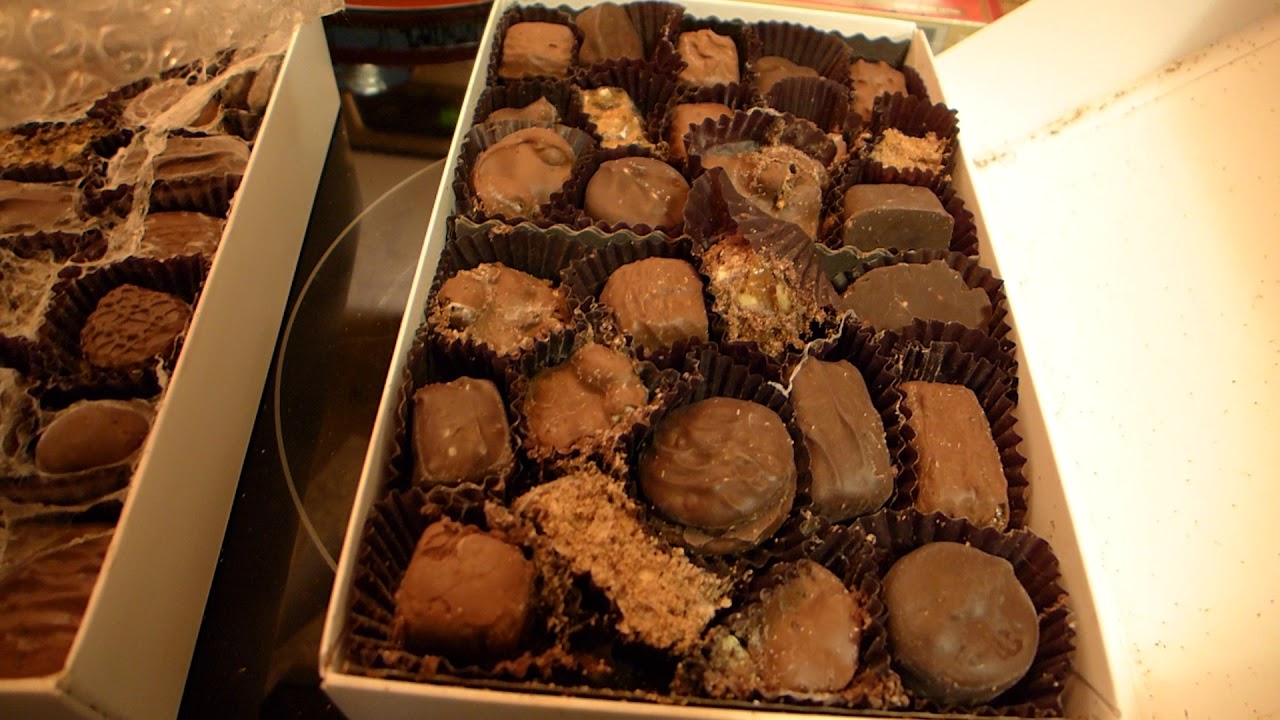 See's Chocolates HORROR Story