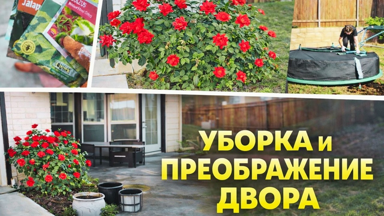 ГЕНЕРАЛЬНАЯ УБОРКА ДВОРА ОСТИН ТЕХАС