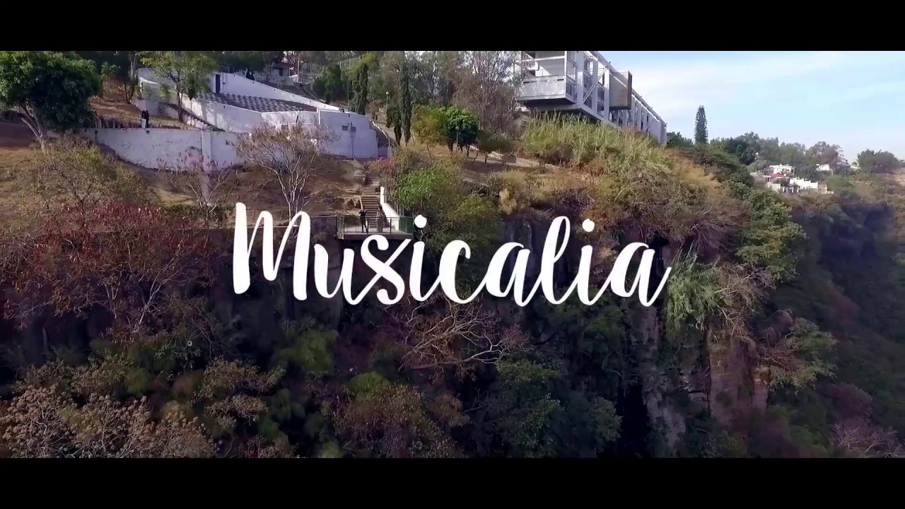 Musicalia - Por ti volar&eacute;