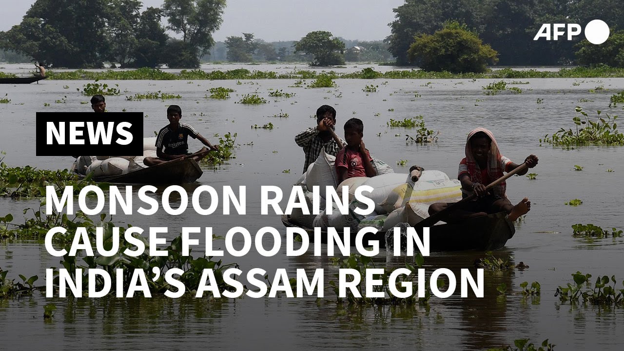 Floods in India's Assam force villagers and wildlife to flee | AFP
