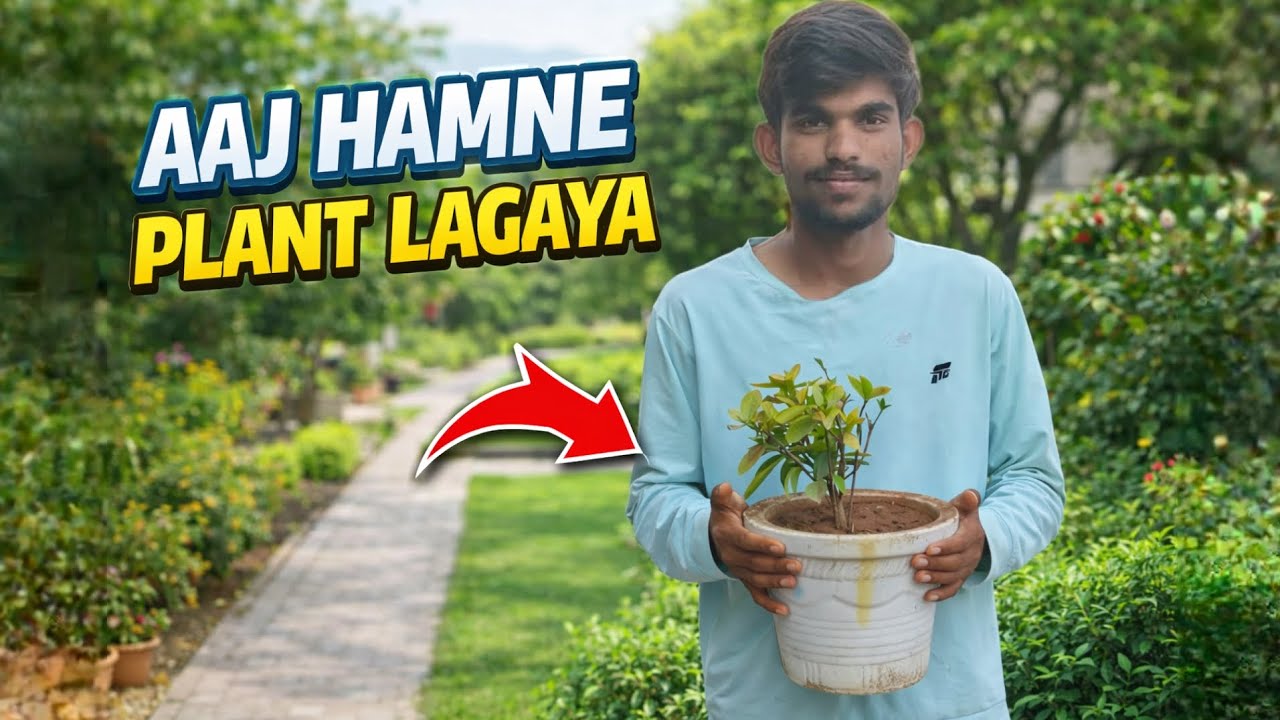 Aaj hamne plant lagaya ll 365 days daily vlog challenge ll VLOG -16