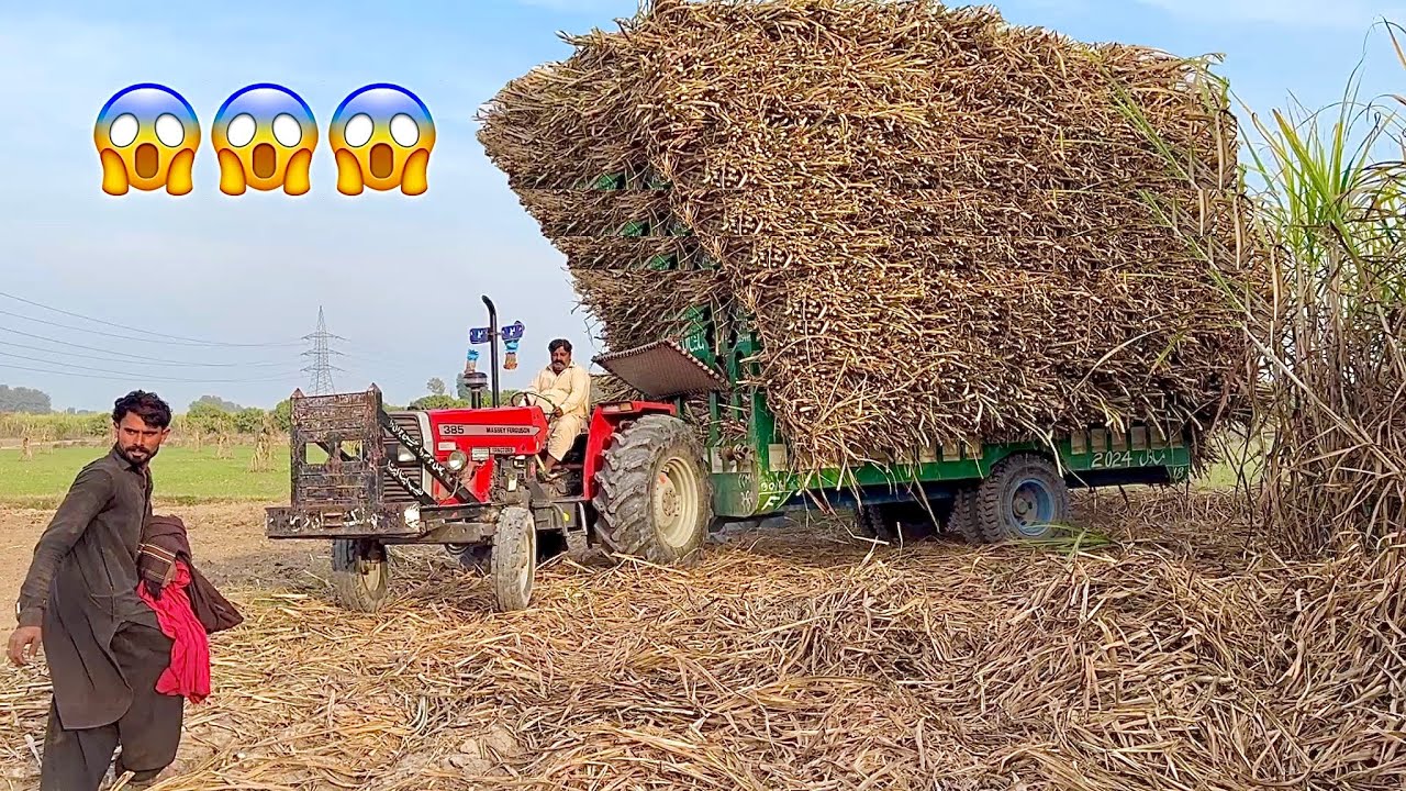 Mf 385 ka dum heavy drift powerful performance 