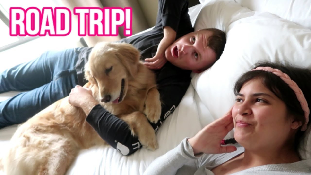 Is MY Service Dog Also My Husband’s Dog? 🤔 (2/13/19)
