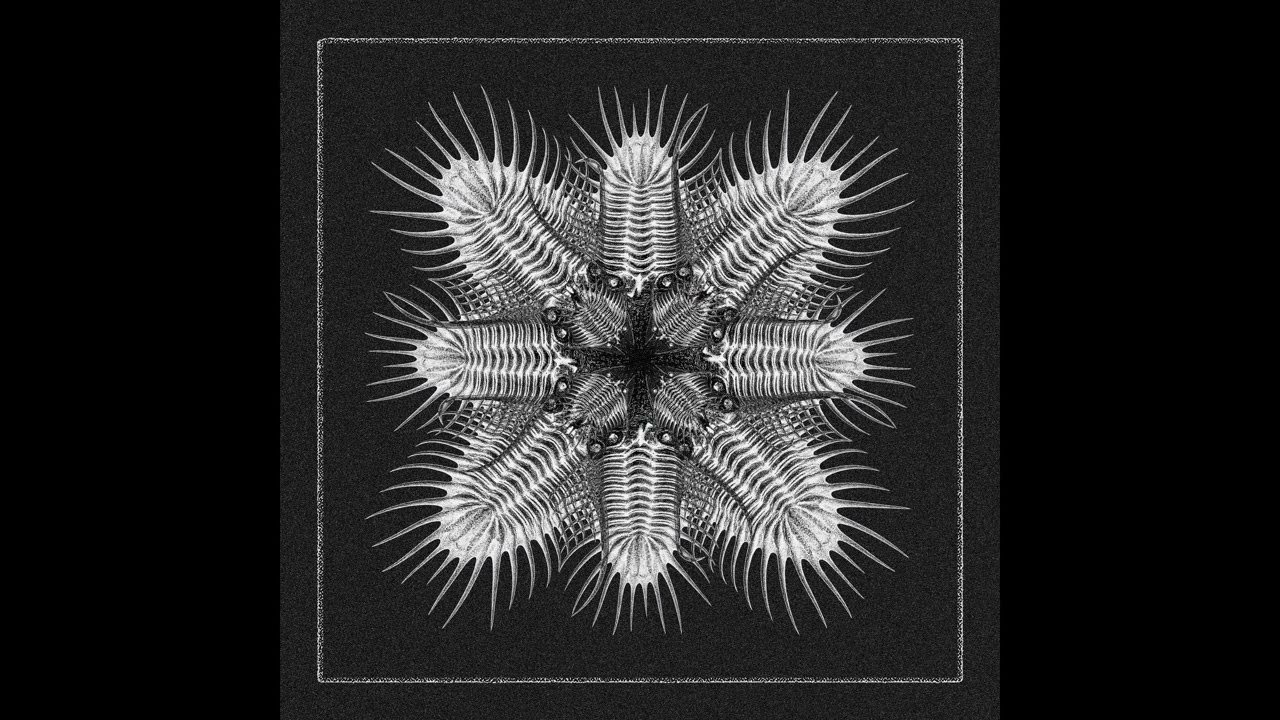 Nicola Dal Sacco - Papaia [AQR027]