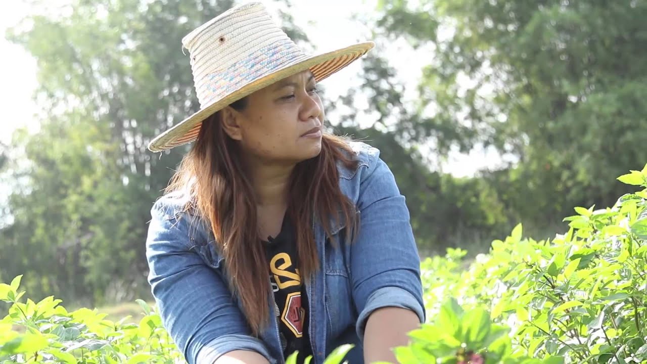 รายการ ขุมทรัพย์ใต้แผ่นดิน ตอนที่ 4 โหระพา..พารวย
