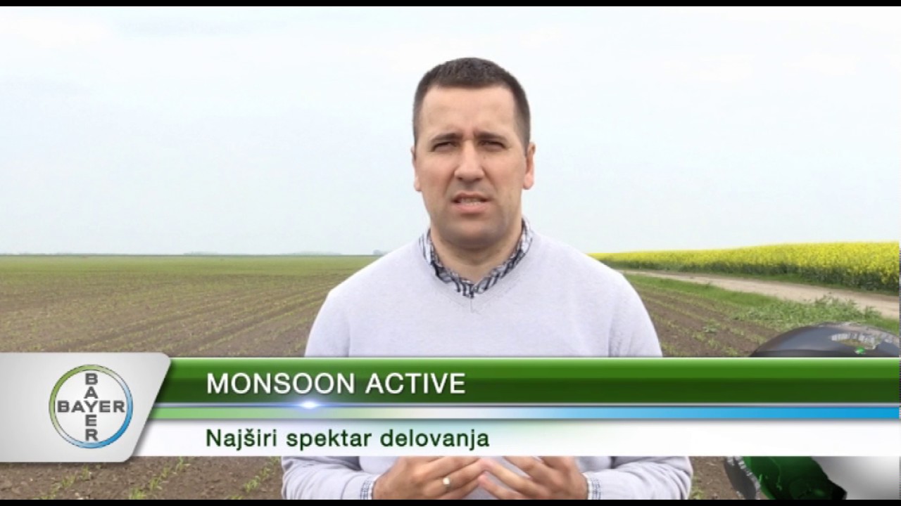 Monsoon active - sigurna za&scaron;tita kukuruza