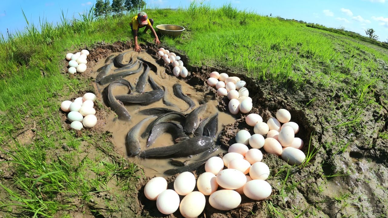unique  ! Catch a lot of fish and collect eggs in the fields.