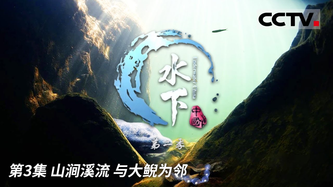 《水下中国》第二季 中国水系：生机勃勃的山涧溪流与四季生命的交响 EP03【CCTV纪录】
