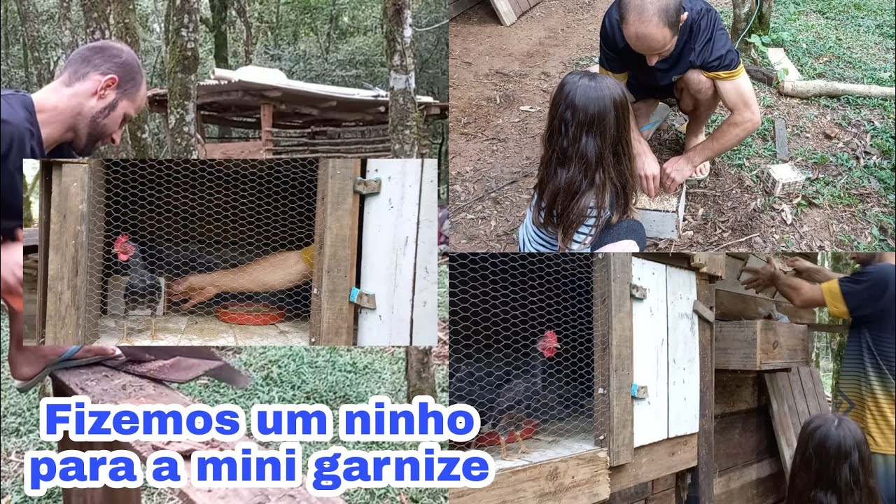 FIZEMOS UM NINHO PARA A MINI GARNIZE