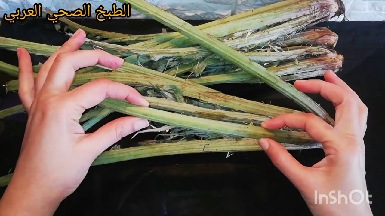 👌الخرشوف البري او البلدي الحقيقي حجمه شكله وطعمه 💯فيديو كله فائدة