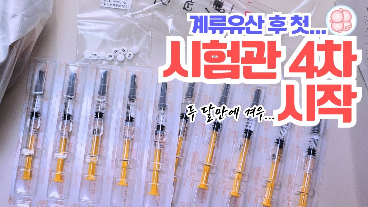 신선? 동결? 두 달 만에 겨우 시험관 4차 시작합니다😎