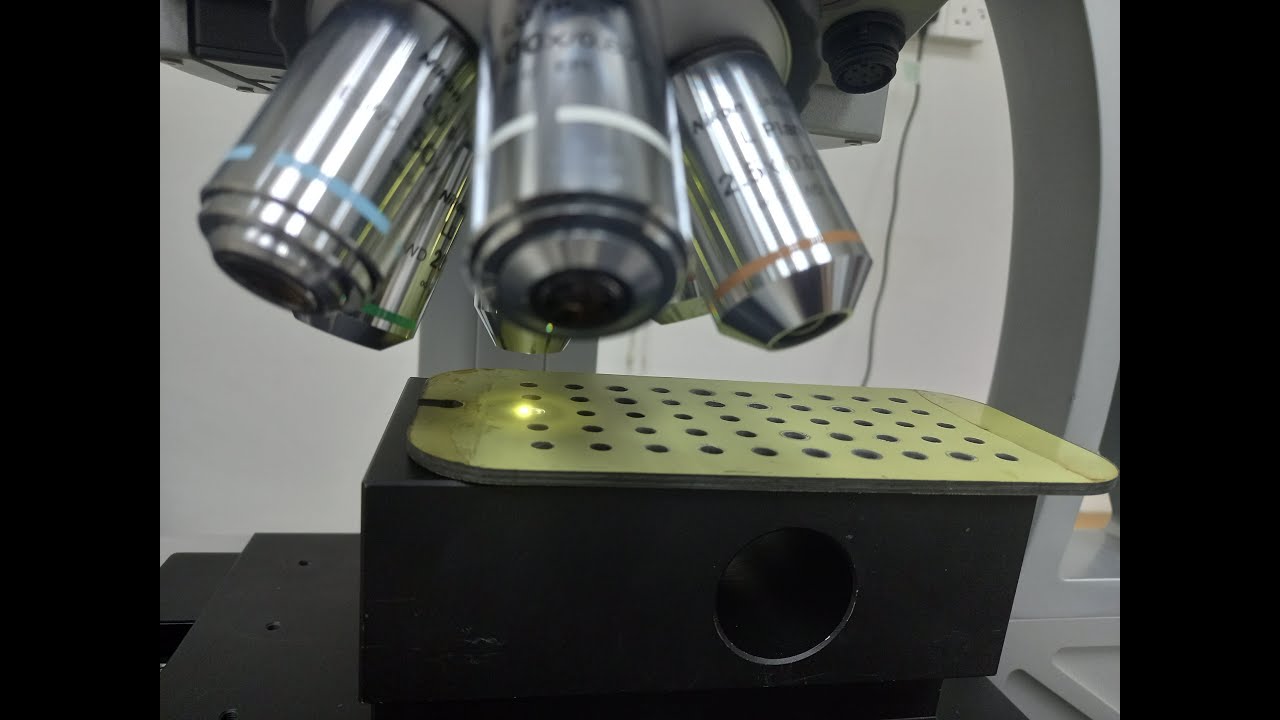 Infinite Focus Microscope (IFM)