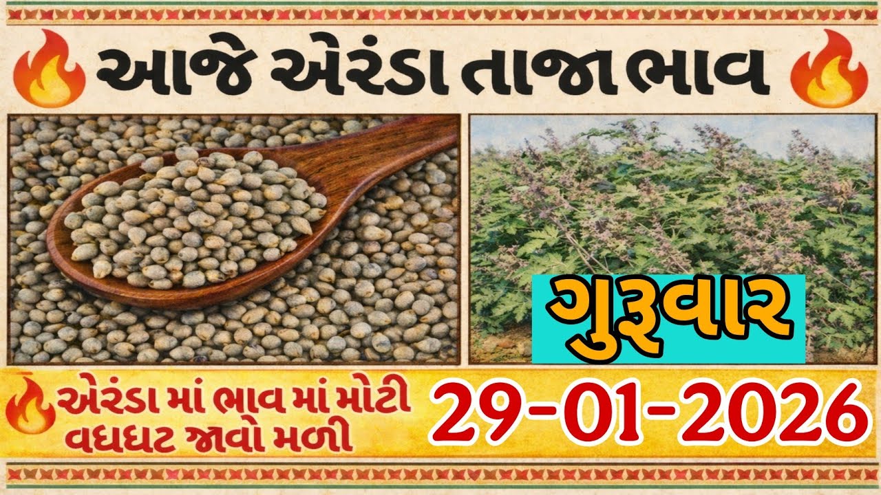 એરંડા ના ભાવમાં જોરદાર ઉસાળો|29-01-2026|આજના એરંડા ના ભાવ SAMSUNG,A3,A5,A6,A7,J2,J5,J7,S5,S7,S9, A10