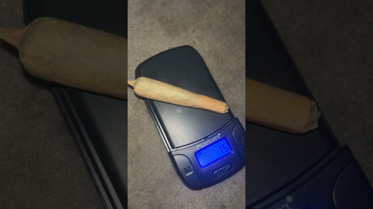 What a 1.5 G joint looks like⛽️ #youtubeshorts #zaza #rollingtray #blinkershorts #blunt#joints