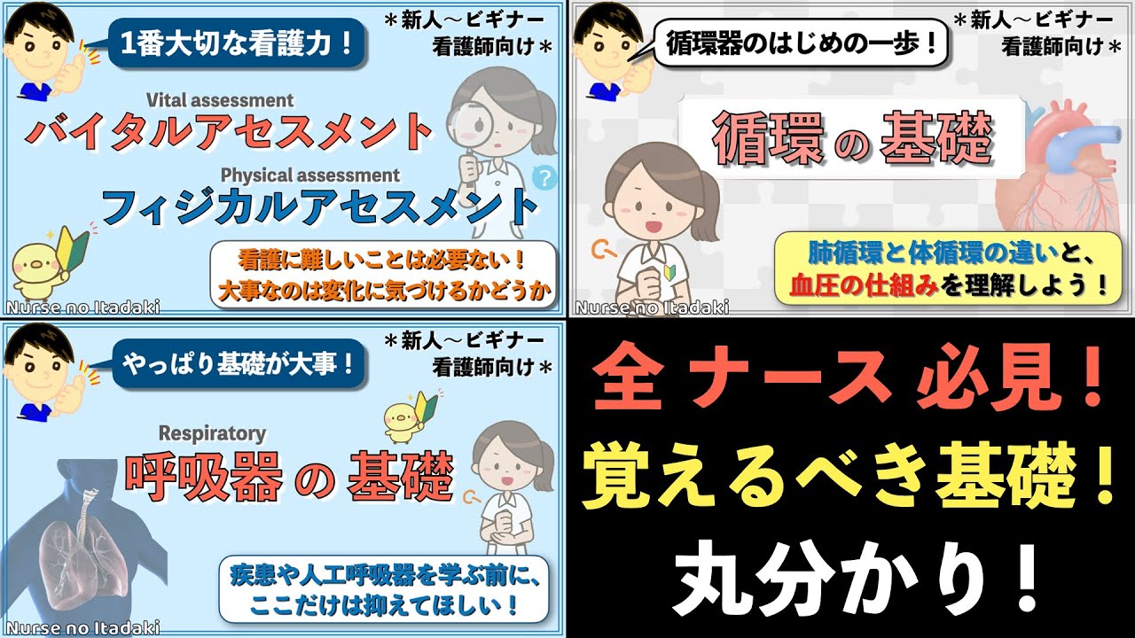 【全ナース必見！】看護師が覚えるべき基礎 総復習！