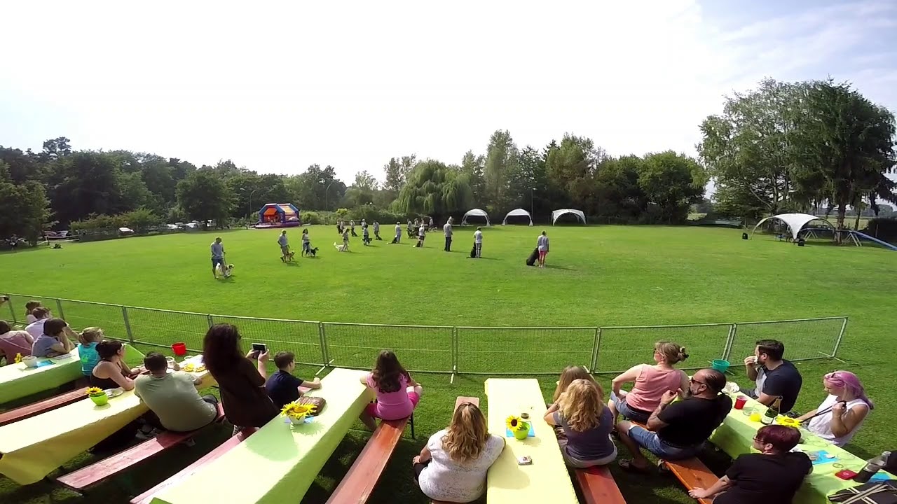 Quadrille zum 40jährigen Jubiläum des HSV Harthausen