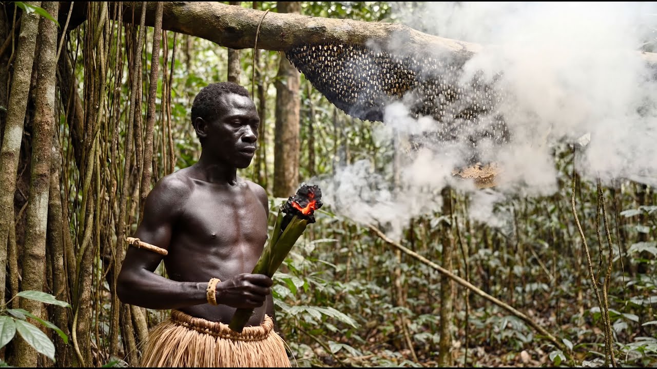 Why They Risk Death for a Single Hive: The World's Most Dangerous Harvest (Korowai Tribe)