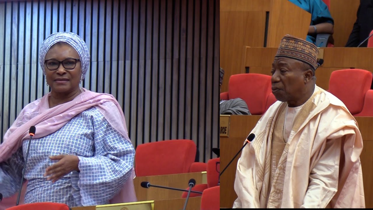 Senators Reject bill for FCT over Bias, Ireti Kingibe defend Wike