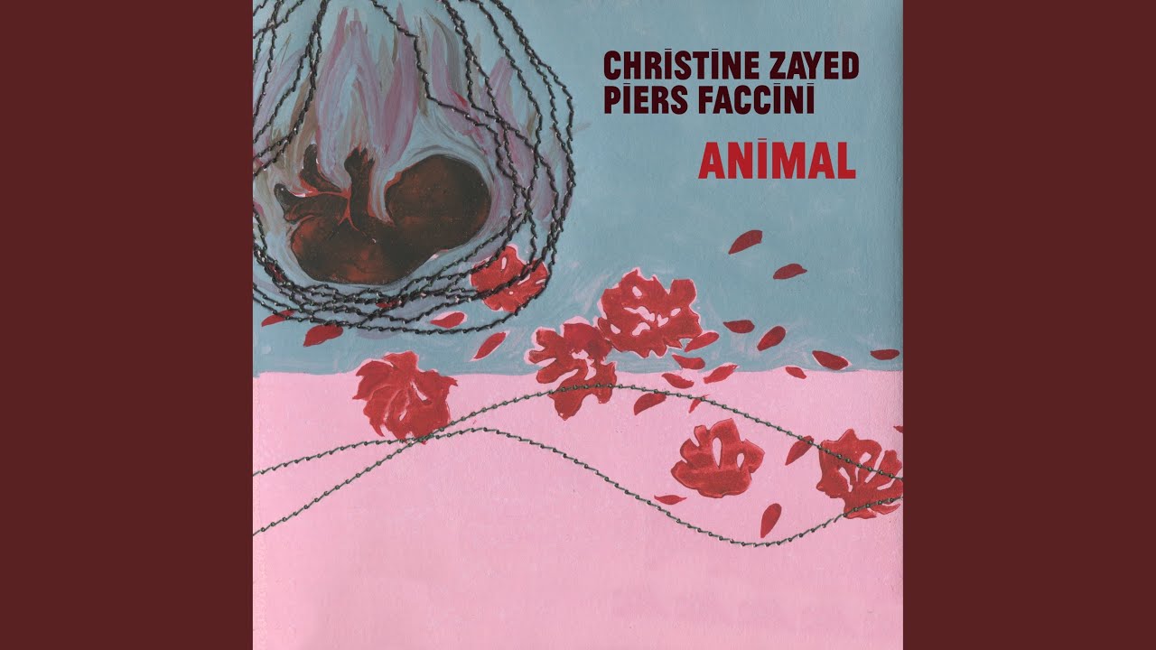 ANIMAL