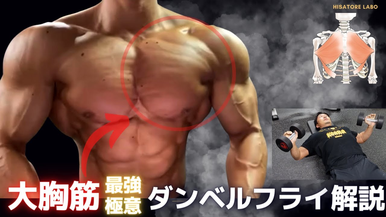 【◯◯を随意的に動かす】ダンベルフライ極意解説