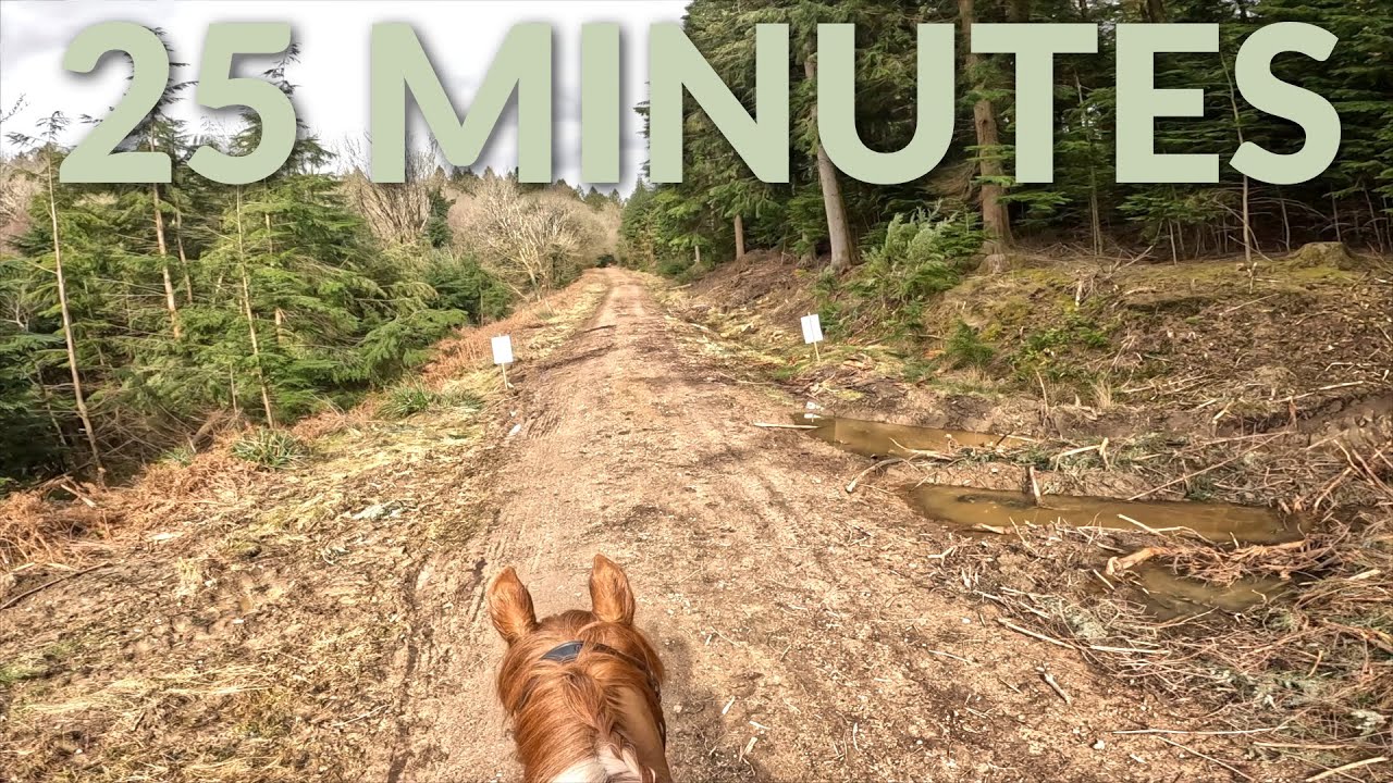 25 Minutes of Forestry Horse Riding