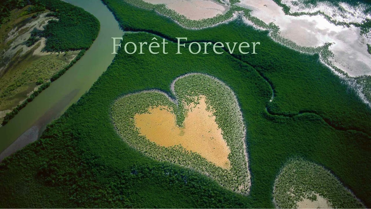 Forêt forever    