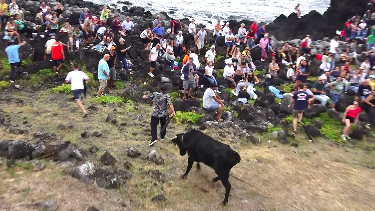 Tourada Porto Biscoitos - Touros EG - (47,52,33,221) - 22/9/2024 - Ilha Terceira - Açores