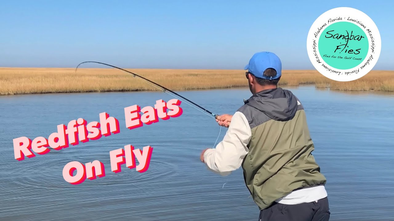 Redfish Eats on Fly