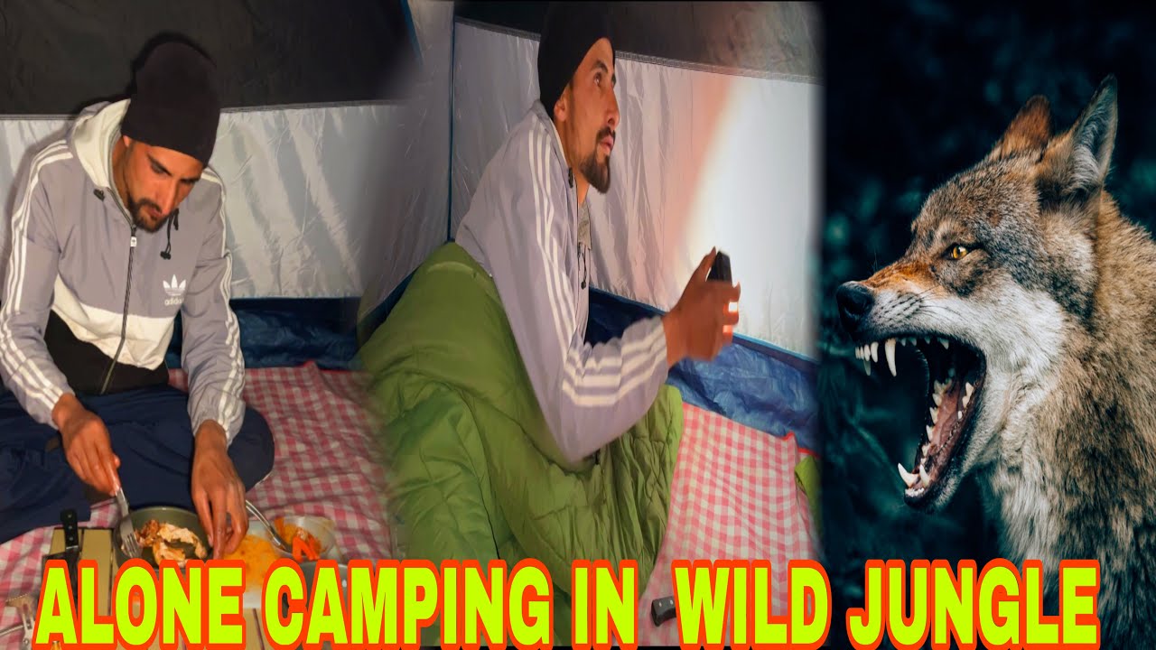 NIGHT CAMPING IN THE MOST DANGEROUS PLACE |Camping in the wild forest india #jaffarcampingvlogs