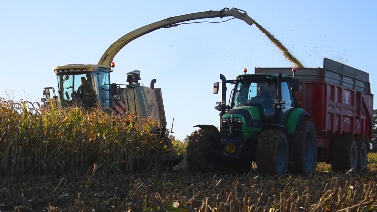 🇨🇵 KRONE BIG XV12, dans les maïs🌽 Deux Tasseurs😱[ETA MOREL]