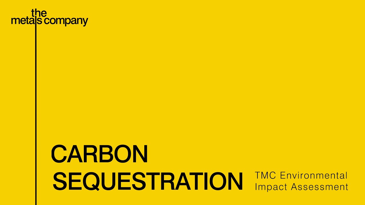 Carbon Sequestration - What does the data tell us?