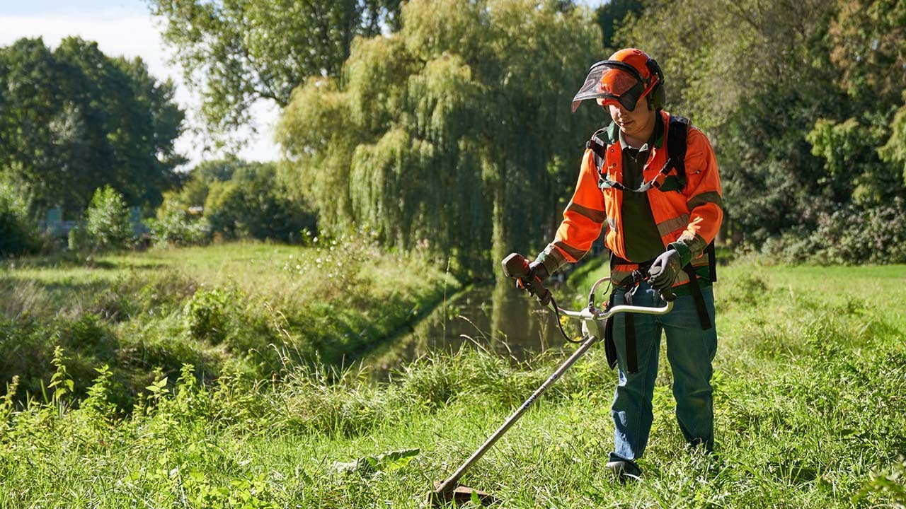 Ergon Banen | Groen