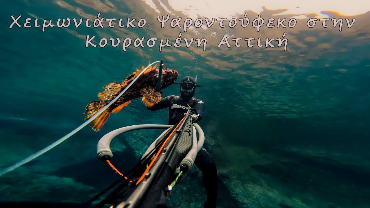 Χειμωνιάτικο Ψαροτούφεκο στην Κουρασμένη Αττική/🌊📷 #ψαροντούφεκο #χειμωνασ #αττική #spearfishing #yt