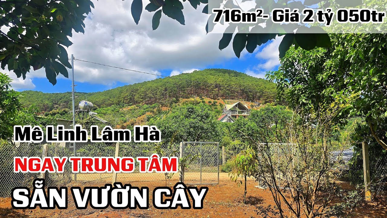 Ngày 14/3/2026| ĐẤT SẴN VƯỜN CÂY, ngay trung tâm xã Mê Linh cũ. GIÁ TỐT