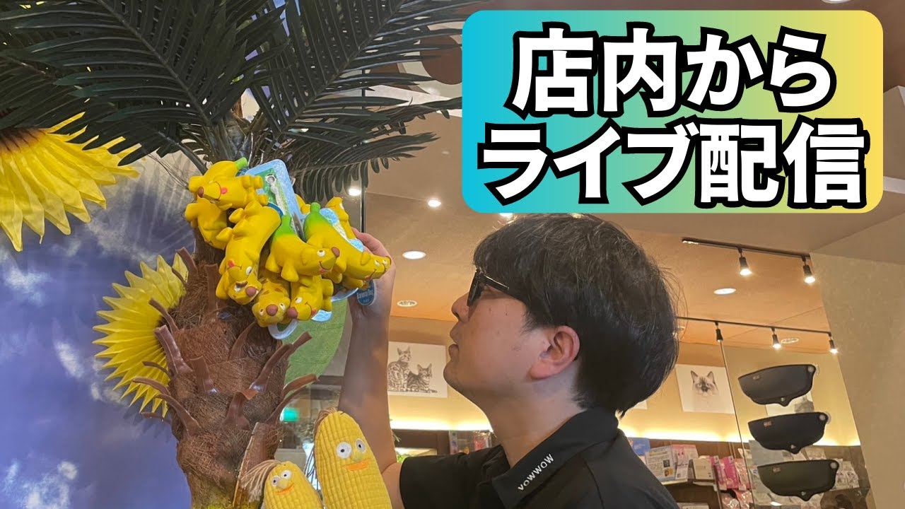 【質問募集】育犬&ペットグッズに関する質問・相談お気軽にどうぞ！