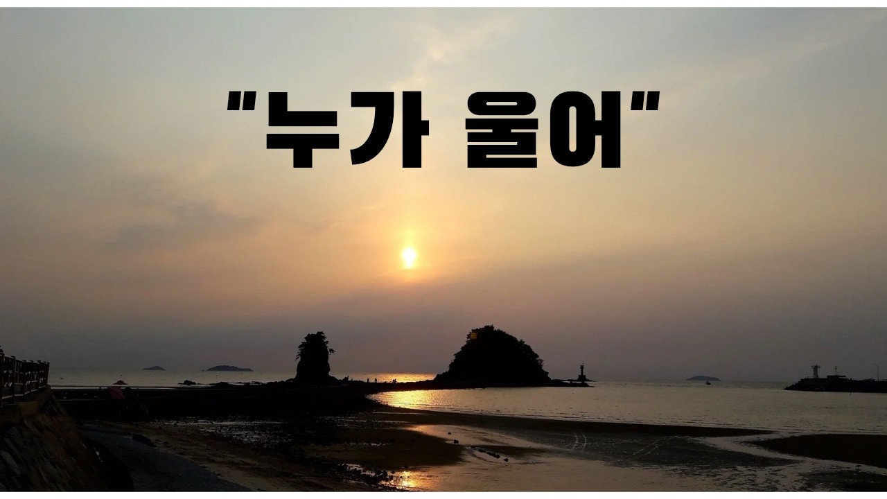 100곡도전.No24_#누가울어#가수김정하#배호원곡.