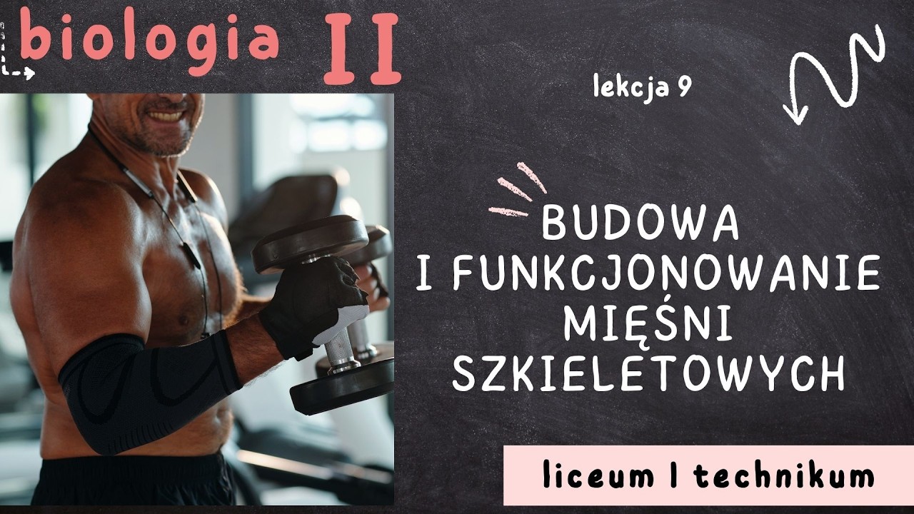 Biologia 2 LO [Lekcja 9: Budowa i funkcjonowanie mięśni szkieletowych]