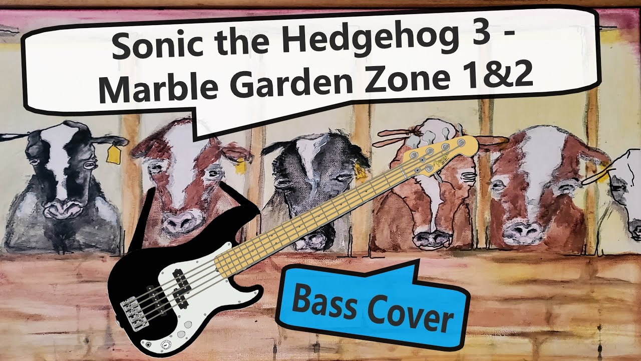 Sonic the Hedgehog 3 - Marble Garden Zone 1 & 2 | Bass Cover