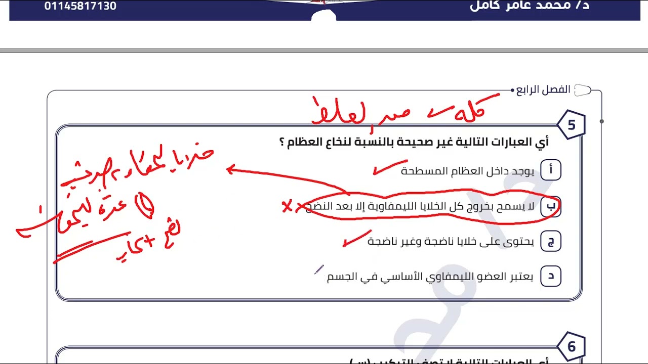 الاعضاء الليمفاوية 