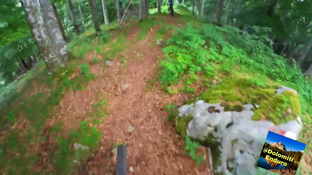 Alpago Casera Palantina Enduro MTB Trail @dolomitienduro #Ridehard&nbsp; #mtbEnduro