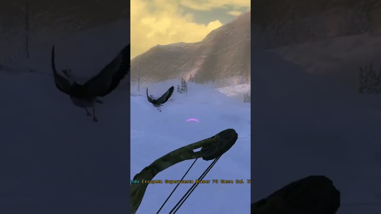 the perfect way to end snow goose mission's | The Hunter Classic