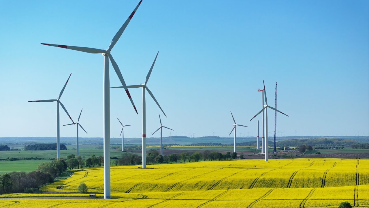Wind farm project in Victoria will &lsquo;threaten&rsquo; bird populations as 105 turbines to be built