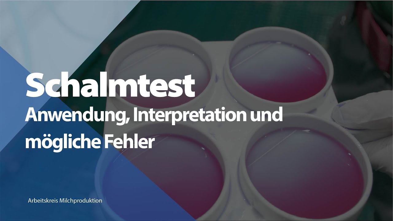 Schalmtest - Anwendung, Interpretation und mögliche Fehler