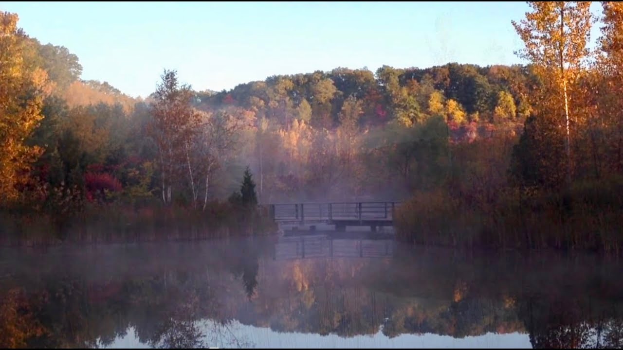 Evergreen Brick Works ~ Don Valley River Formation