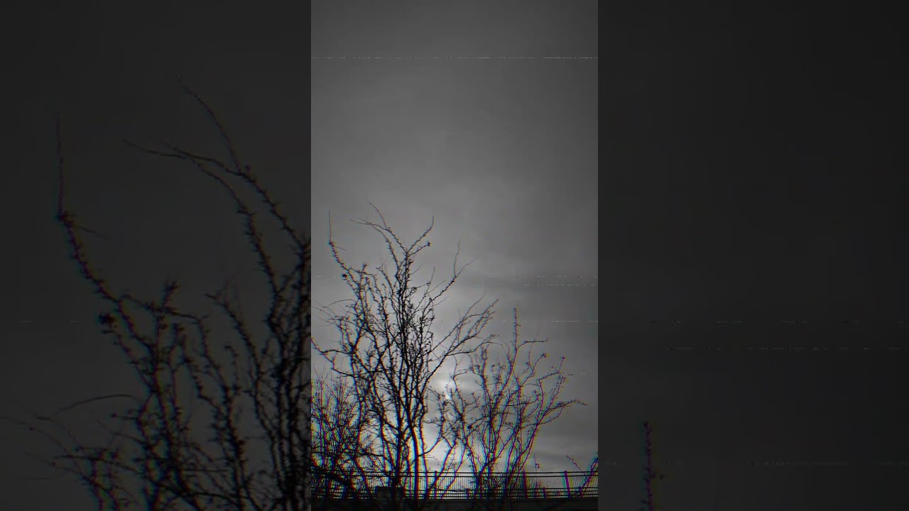 BLEED(ing)-Serpent