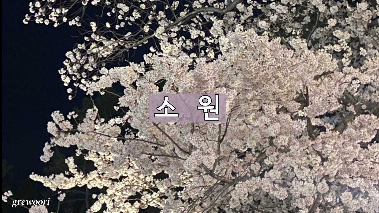 소원 | 나는 주님께 노래하리라 391번 | 떨기나무 491번 | 그레우리