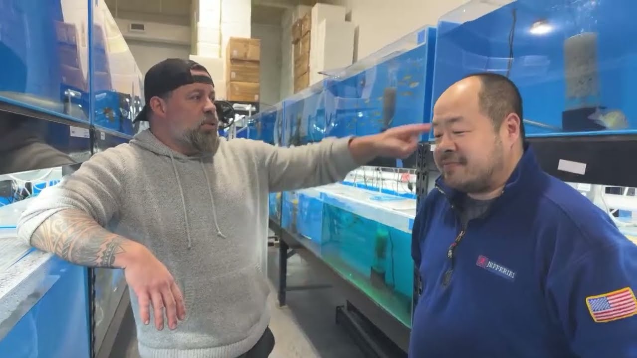 LIVE TOUR of all the FISH IN STOCK