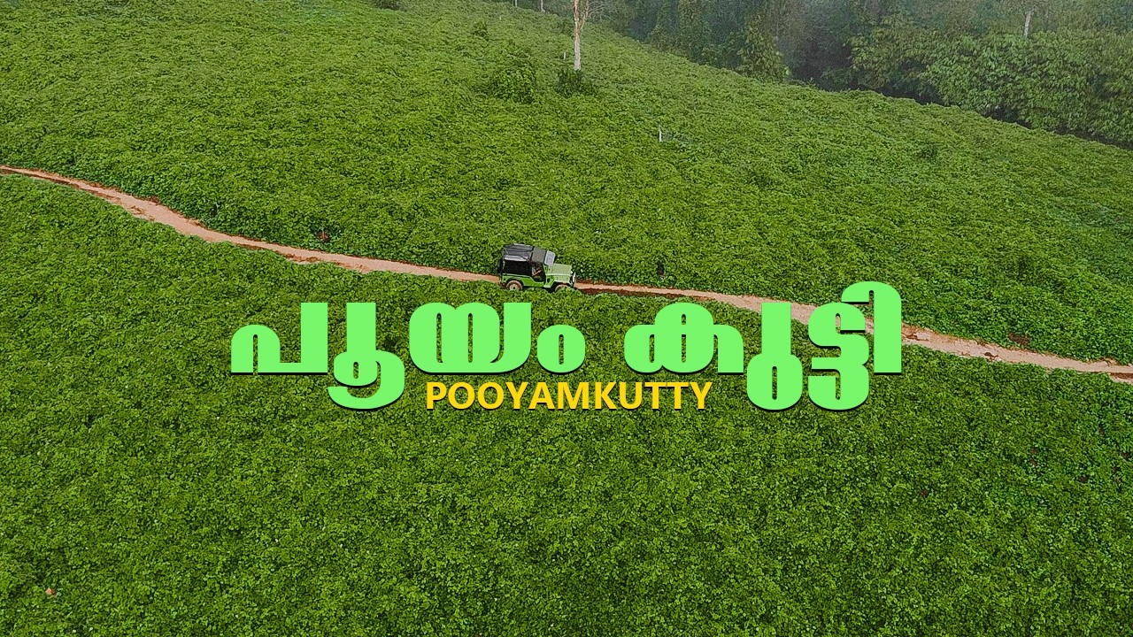 പൂയംകുട്ടി' കാടിന്റെ ഉള്ളിലെ ഒളിഞ്ഞ സ്വർഗ്ഗം |pooyamkutty| Solo Ride #mamalakandam #soloride