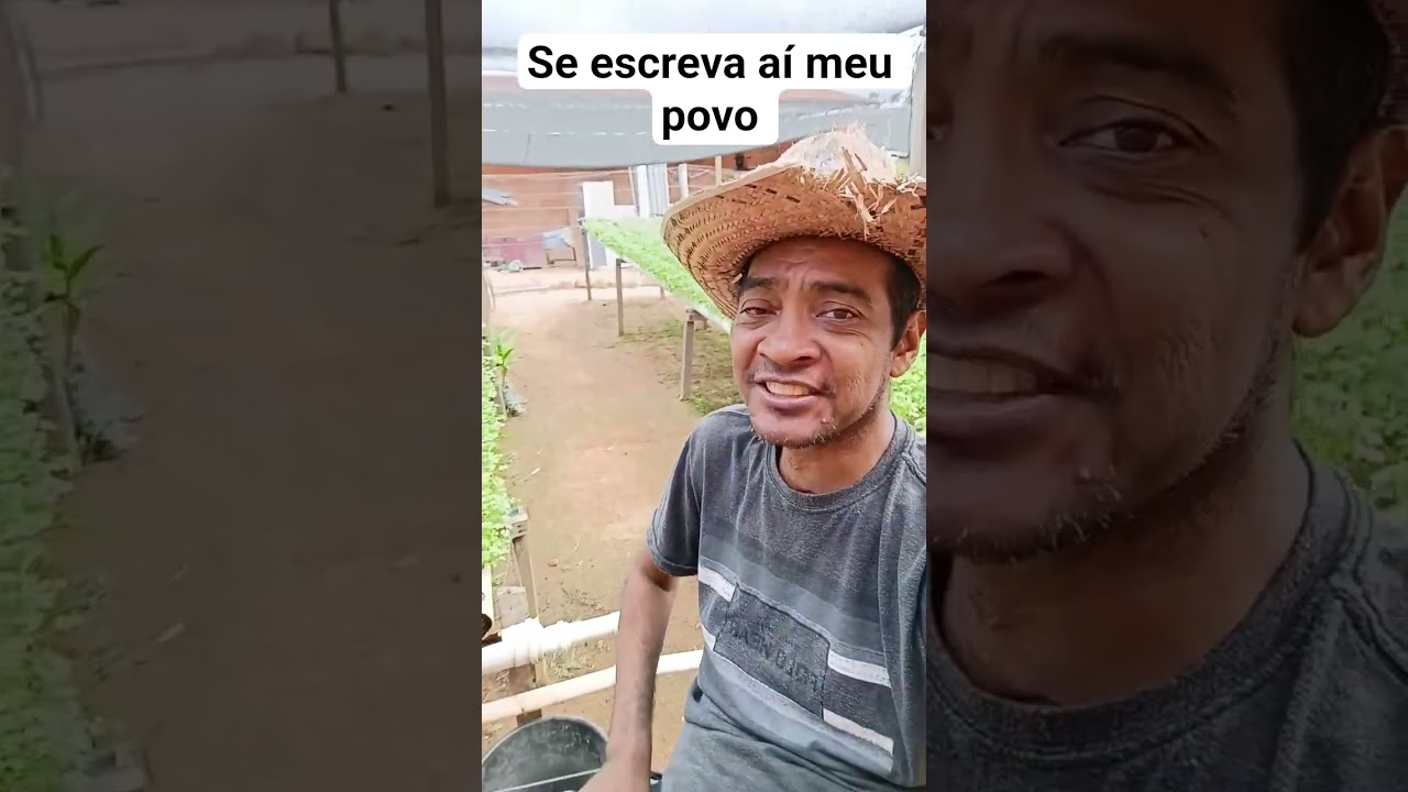 desafio de um cadeirante mostrando minha horta #desafio #ro&ccedil;a