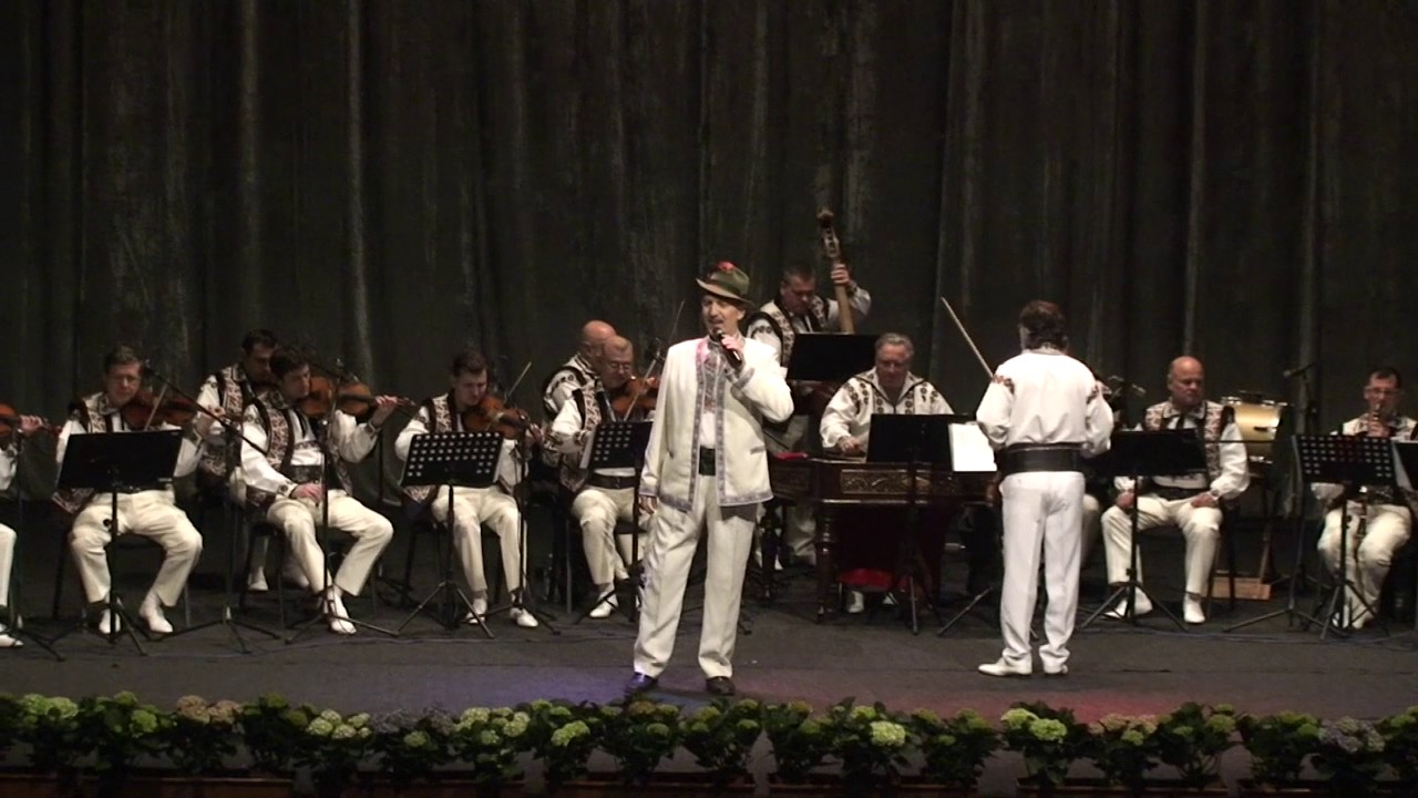 ANTON ACHITEI _''Bucovina Plai Moldovenesc''